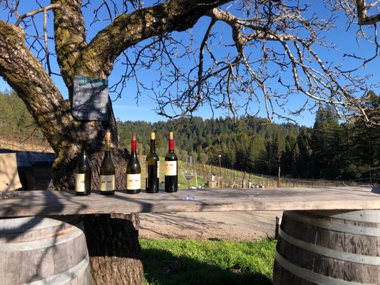 Porter-Bass Winery by null