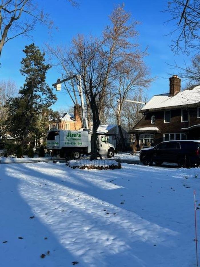 Jim's All Seasons - tree service in Cleveland, OH
