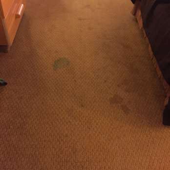Great Wolf Lodge - The carpet in our room. - Resorts Near Me - Centralia, Washington Great Wolf Lodge - The carpet in our room. - Resorts Near Me - Centralia, Washington