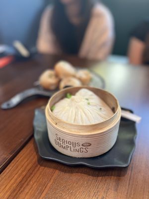 Serious Dumpling by null