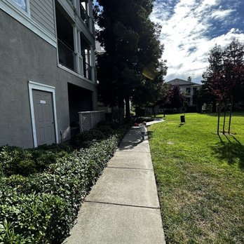 The Estates at Park Place - Lawn at the back of the house - Apartments Near Me - Fremont, California The Estates at Park Place - Lawn at the back of the house - Apartments Near Me - Fremont, California
