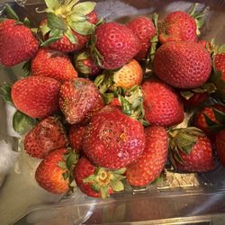 Bad strawberry I just got them the last night.