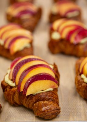 Starter Bakery by null