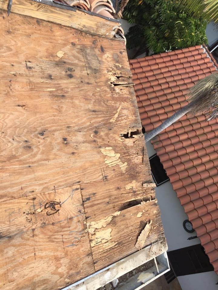 Slide of Harbor Roofing Services