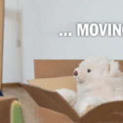 Bow Valley Moving - Photo