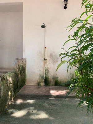 Cenote Tortuga by null