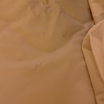 Days Inn by Wyndham Dover - Bed sheet - Hotels Near Me - Dover, New Hampshire