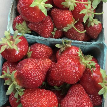 Chase Farms - Pick Your Own Strawberries - Farmers Market Near Me - Fairport, New York