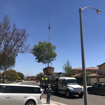 Moon Valley Nurseries - Here we go.... - Nurseries & Gardening Near Me - Murrieta, California Moon Valley Nurseries - Here we go.... - Nurseries & Gardening Near Me - Murrieta, California