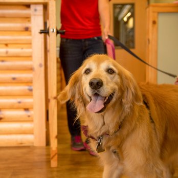 Camp Bow Wow - Pet Training Near Me - Westminster, Colorado Camp Bow Wow - Pet Training Near Me - Westminster, Colorado