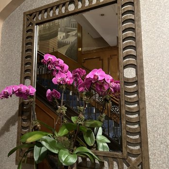 Casablanca Hotel - Hotels Near Me - New York, New York Casablanca Hotel - Hotels Near Me - New York, New York