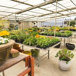 Marbott's Greenhouse & Nursery