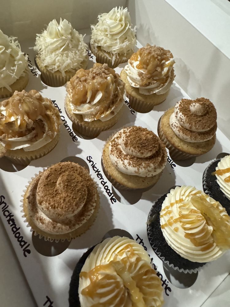CUPCAKE ALCHEMY San Antonio, Texas Trendy Cupcakes Phone Number