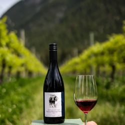 Sunnybrae Vineyards & Winery