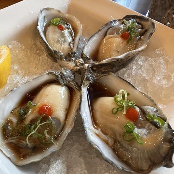 Kinja Sushi - raw oysters - Ramen Near Me - San Ramon, California Kinja Sushi - raw oysters - Ramen Near Me - San Ramon, California