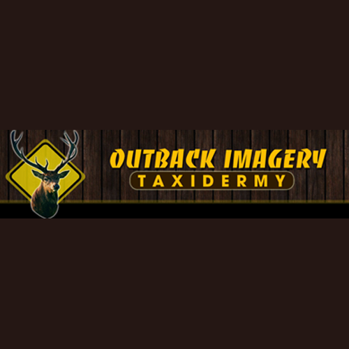 Outback Imagery Taxidermy - taxidermy in York Springs, PA