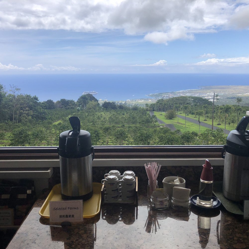 UCC Hawaii - The view and samples - Tours Near Me - Holualoa, Hawaii