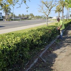 Northcali Landscaping & Tree Services - We do Commercials Maintenance.