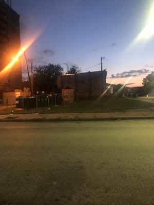 Good Fortune by null