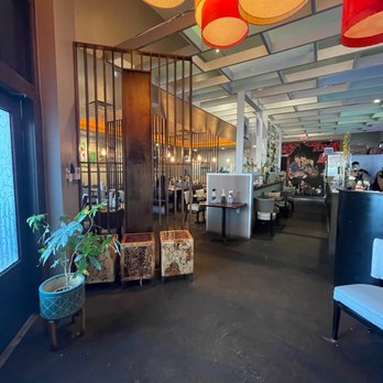 Trendy Dumpling - Noodles Near Me - Houston, Texas