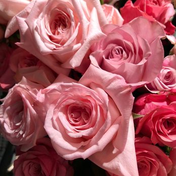 Roses Costes - Florists Near Me - Paris, 75
