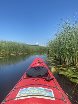 Boucherville Islands National Park by null