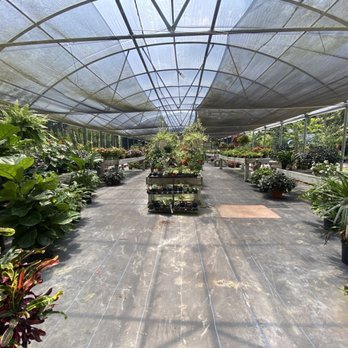 Philips Garden Store - Nurseries & Gardening Near Me - Jacksonville, Florida