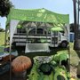 Love Long Beach Festival