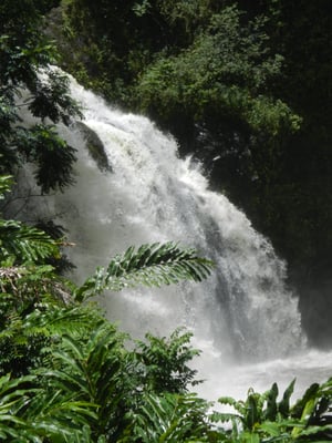 Upper Waikani Falls by null