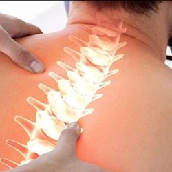 Engel Chiropractic - Cover 2.jpeg