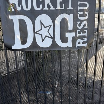 Rocket Dog Rescue - Really important work done here! - Animal Shelters Near Me - Oakland, California Rocket Dog Rescue - Really important work done here! - Animal Shelters Near Me - Oakland, California