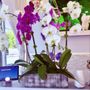 Photo of Lavender Oasis Nail Salon