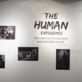 Beyond The Lines Gallery - Art Galleries Near Me - Los Angeles, California
