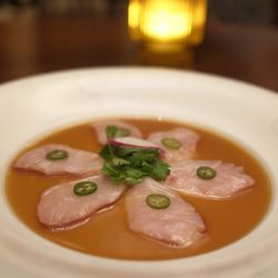 Nobu - Yellowtail jalepeno