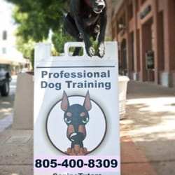 Canine Tutors - No more leash-pulling, jumping up, running away, dog aggression, counter surfing. Instead, sit, down, stay, here!