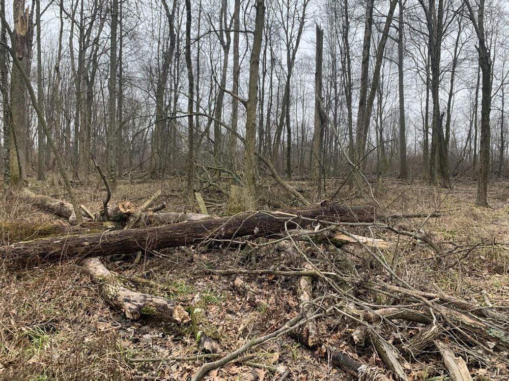 Slide of Sexson Mechanical