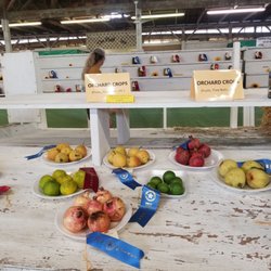 Comal County Fair Assn
