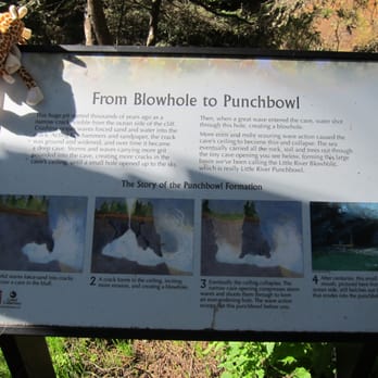 Blowhole Trail - Hiking Near Me - Little River, California
