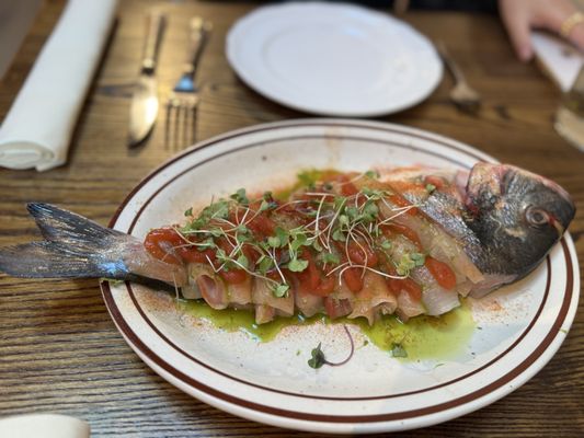 Caché by null Caché by null