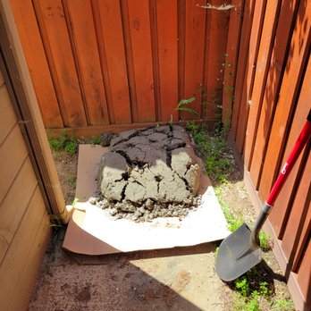 PMT Concrete - Left over concrete just dumped behind my shed. - Masonry/Concrete Near Me - Sacramento, California PMT Concrete - Left over concrete just dumped behind my shed. - Masonry/Concrete Near Me - Sacramento, California