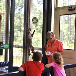 E O Wilson Biophilia Center