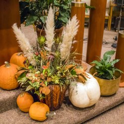 St Gall Catholic Church - Photograph taken by John Huan Vu of the Diocese of San Jose on Saturday, November 18, 2017