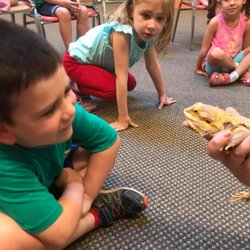 Hudson Highlands Nature Museum