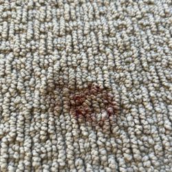 Green Carpet Cleaning Deals - Food smudged this is still there after they cleaned the carpet.