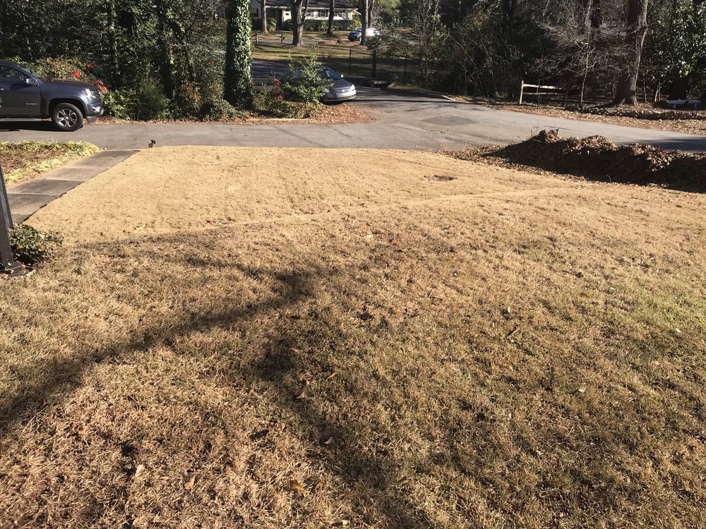 D. MACK LAWN CARE SERVICES Updated October 2024 24 Photos