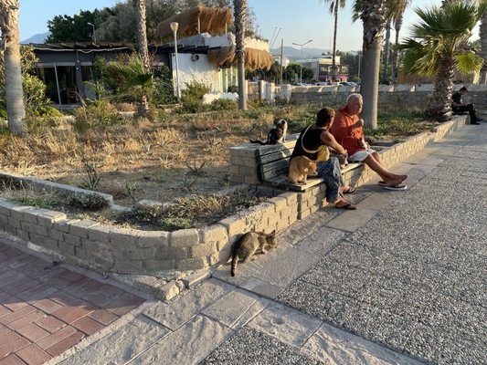 Yalıkavak Marina by null