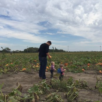 Bellevue Berry & Pumpkin Ranch - Pumpkin patch - Venues & Event Spaces Near Me - Papillion, Nebraska