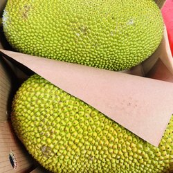 Saigon Market - Jackfruit whole $1.49/lb prices may change