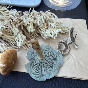Forage Seattle - Foraged mushrooms - Food Tours Near Me