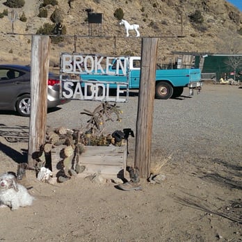 Broken Saddle Riding - Our dog waiting at the entrance. - Horseback Riding Near Me - Cerrillos, New Mexico Broken Saddle Riding - Our dog waiting at the entrance. - Horseback Riding Near Me - Cerrillos, New Mexico
